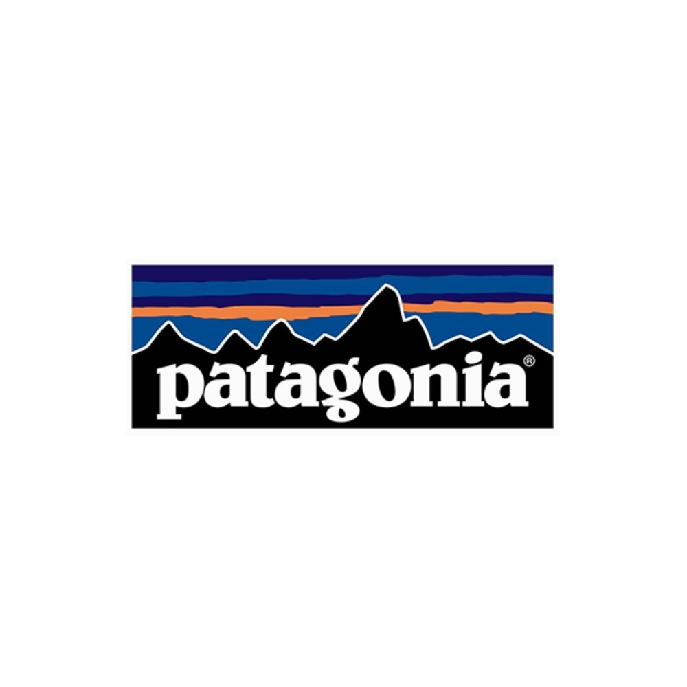 Patagonia travel pouch